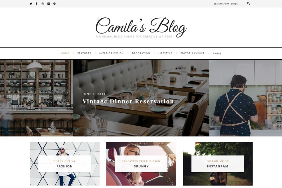 Download Camila - WordPress Blog Theme