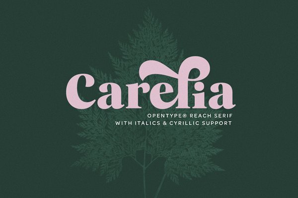 Download Carelia Font Family