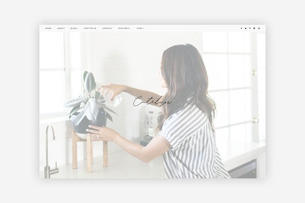 Download Catelyn - Blog + eCommerce Theme