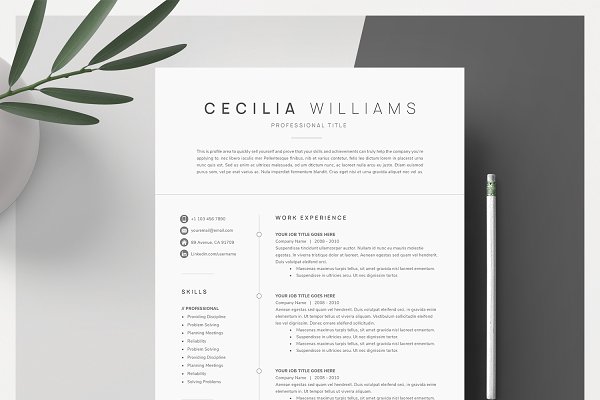 Download Clean Modern Resume Template