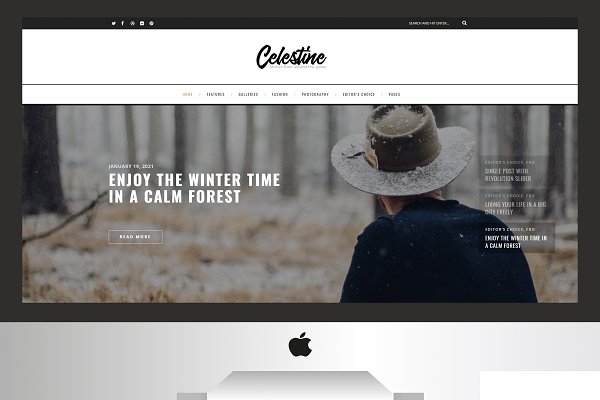 Download Celestine - Modern WordPress Blog