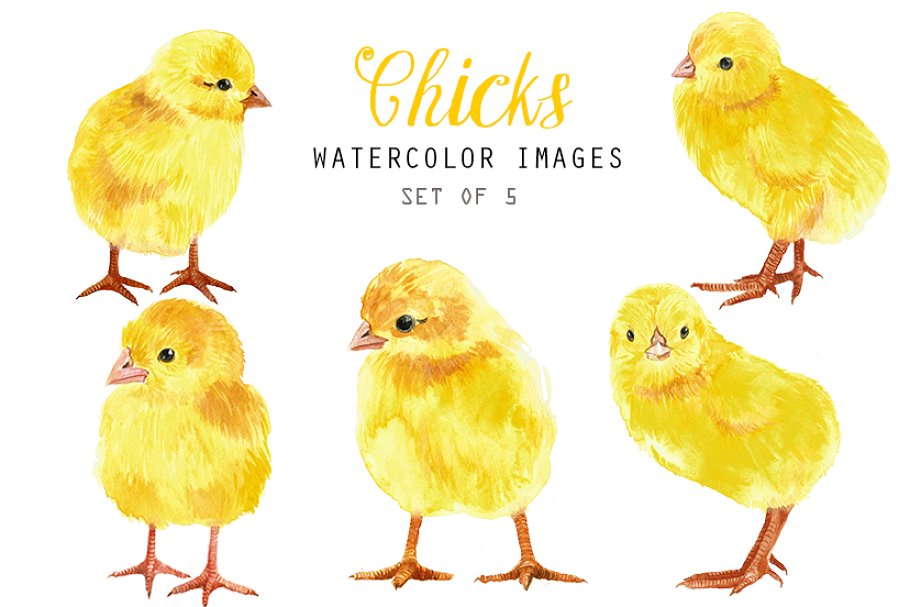 Download Watercolor chicks clipart