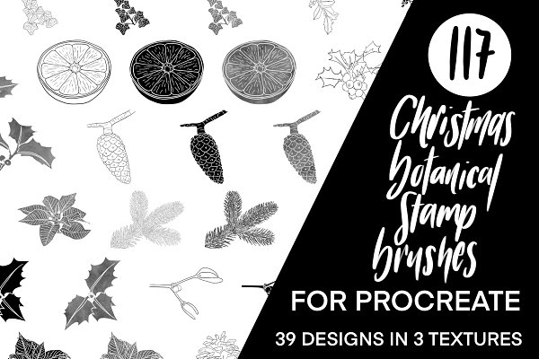 Download Procreate Christmas Botanical Stamps