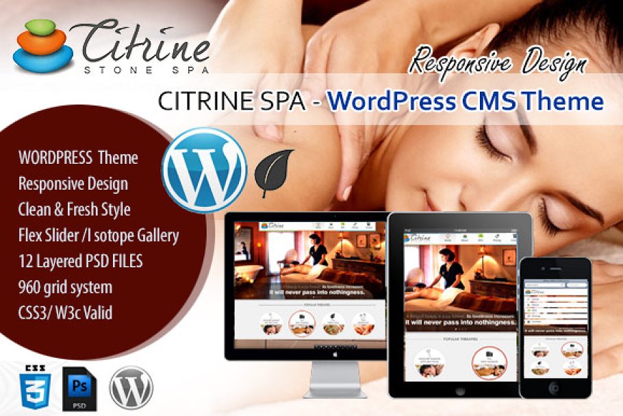 Download CITRINE SPA - WordPress CMS Theme