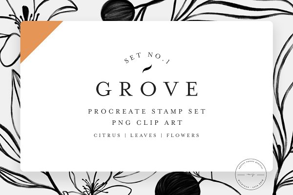 Download Grove Citrus Procreate Stamps + PNG