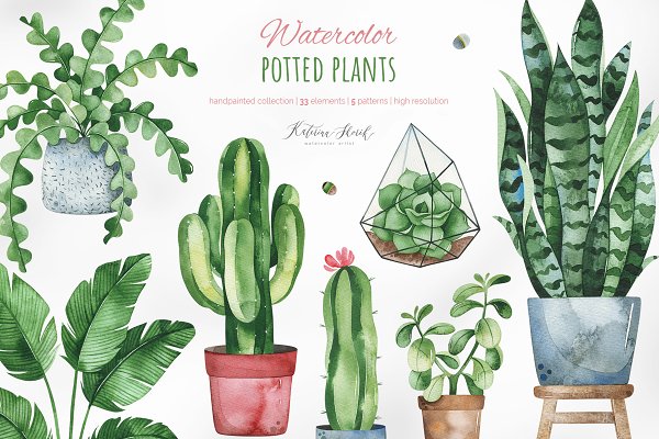 Download Watercolor Potted Plants