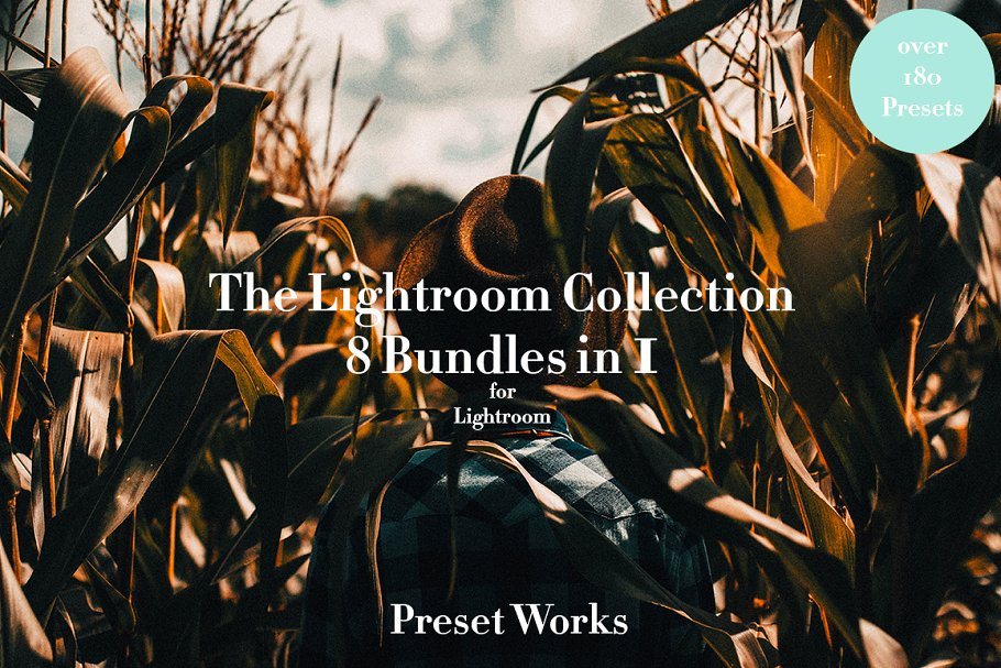 Download The Lightroom Collection - 8 bundles