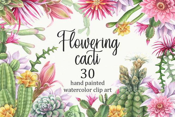 Download Watercolor flowering cacti.
