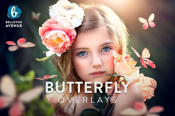 Download Butterfly Overlays (Real)