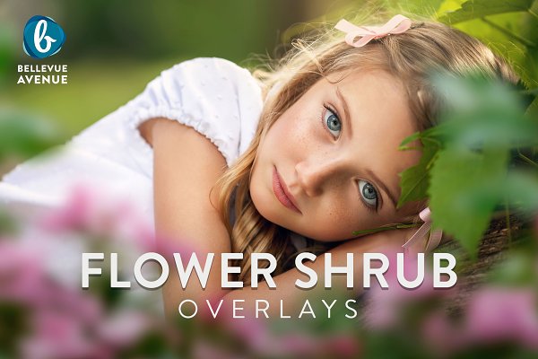 Download Flower Shrub Overlays (Real)