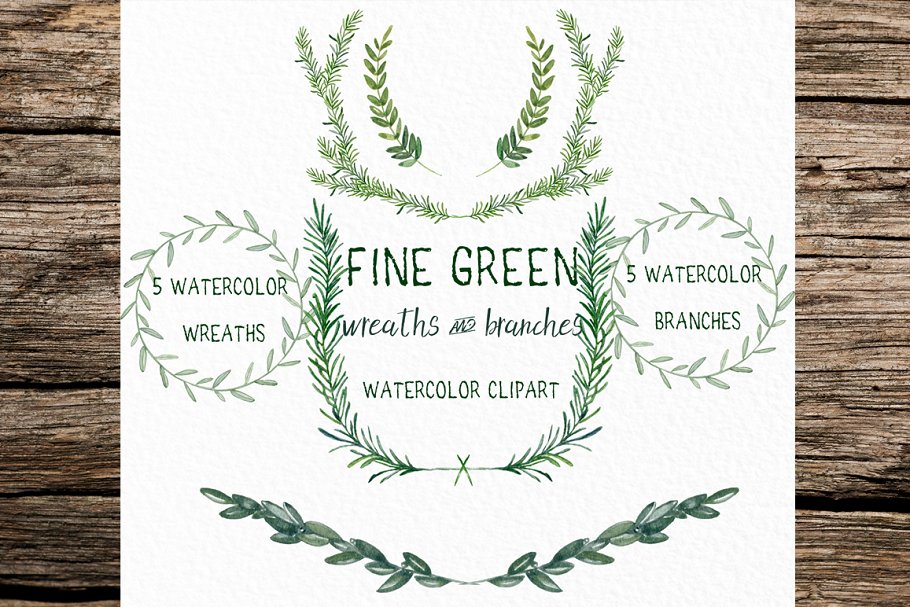Download Fine green rosemary. watercolor