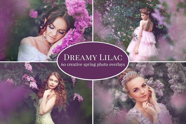 Download Dreamy Lilac photo overlays