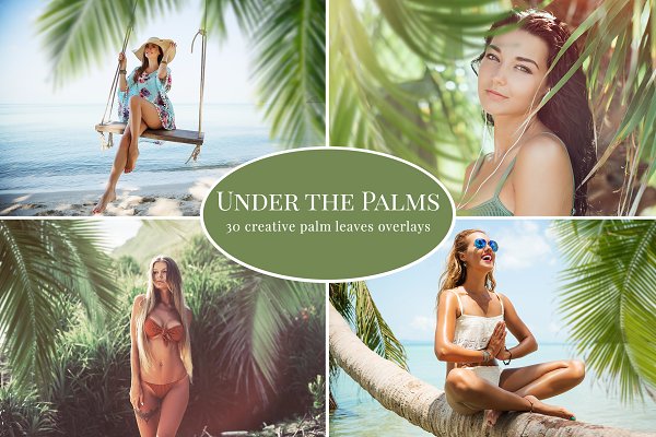 Download Under the Palms photo overlays
