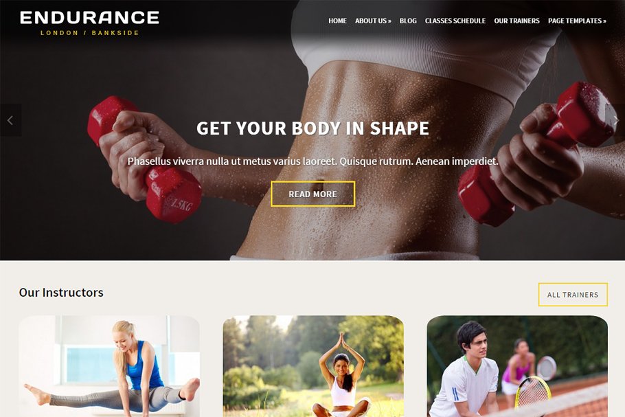 Download Endurance Fitness Theme