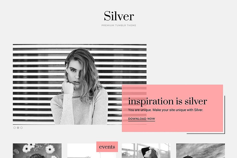 Download Silver WordPress Theme