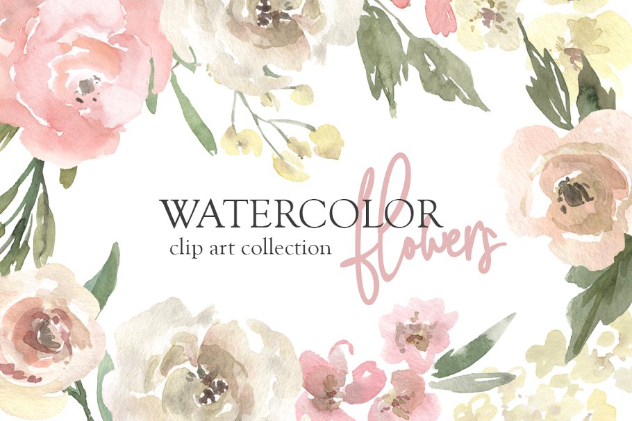 Download Watercolor Neutral Floral Collection