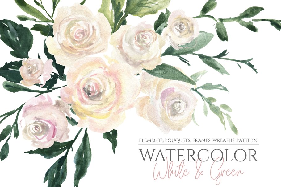 Download Watercolor White Roses Flowers