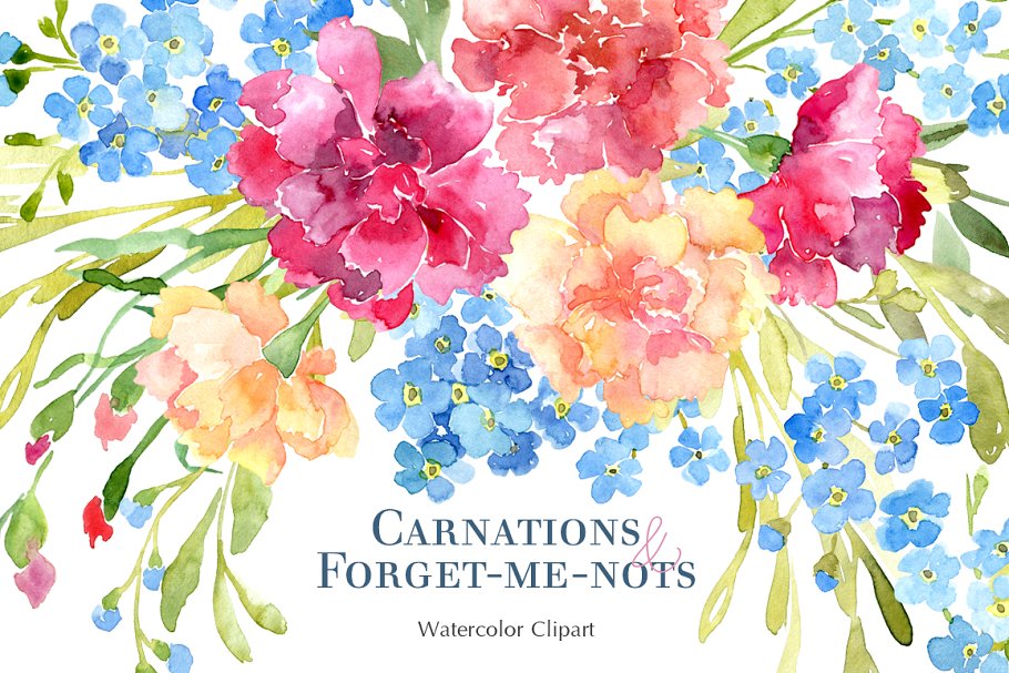 Download Watercolor Carnations Forget Me Nots