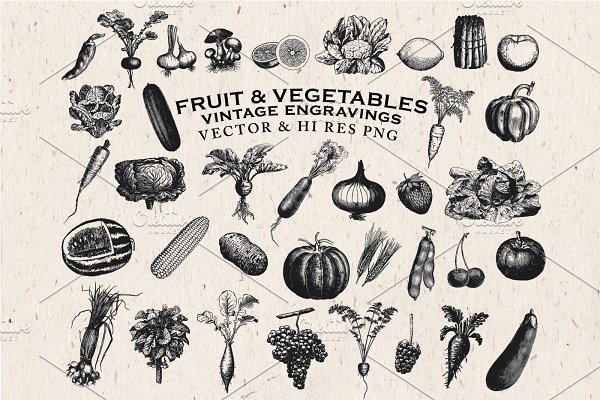 Download Fruit & Vegetables Engravings Vector