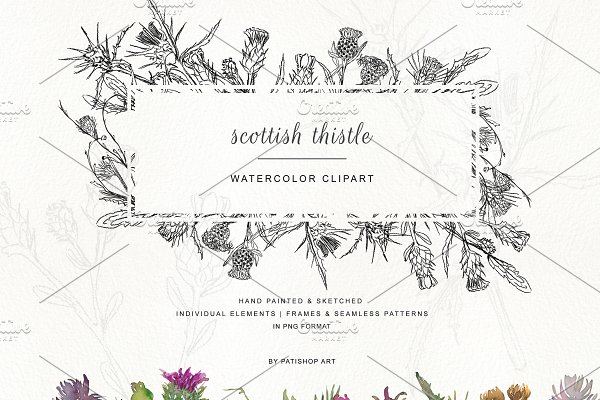 Download Hand Painted & Sketched Thistle