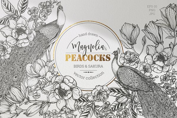Download Magnolia and peacocks vector set