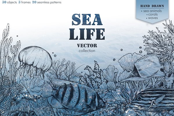 Download Sea life vector collection