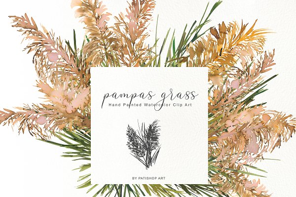 Download Watercolor Pampas Grass Clipart Set