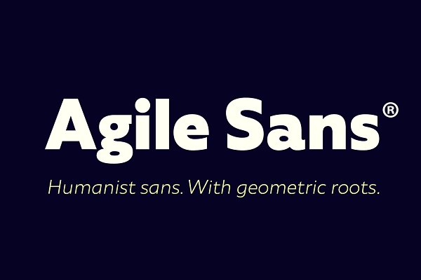 Download Agile Sans