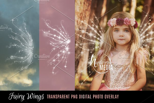 Download 2 Transparent PNG Fairy Wings
