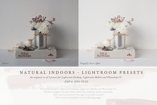 Download Lightroom presets - Natural indoors