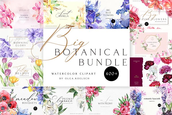 Download Watercolor Botanical Bundle