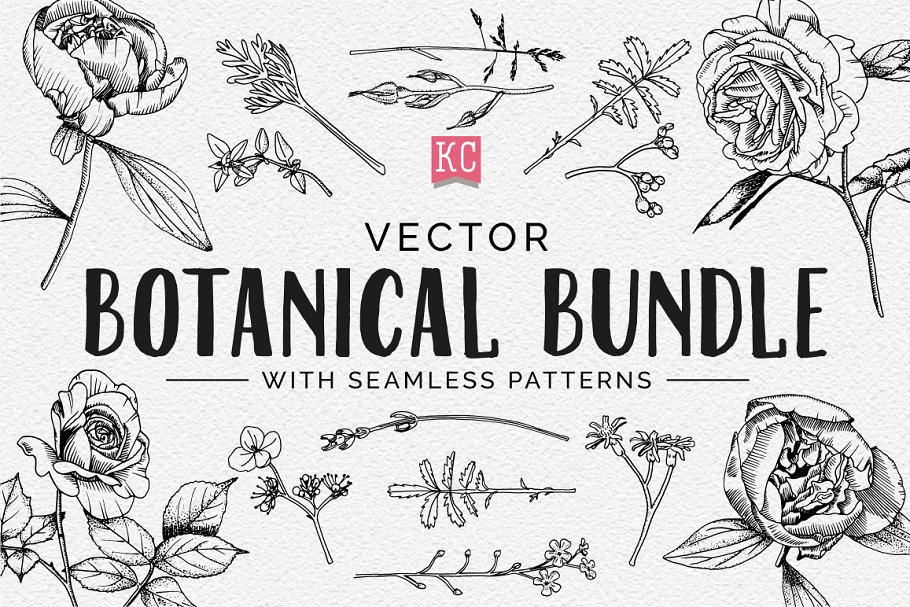 Download Vector Botanical Illustrations