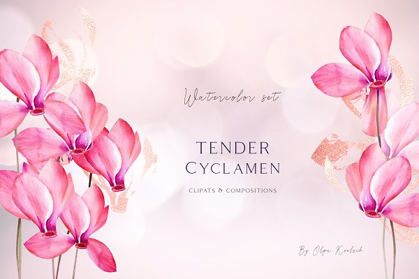 Download Watercolor Pink and Gold Cyclamen