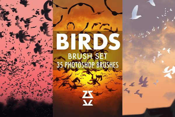 Download Birds Brush Set
