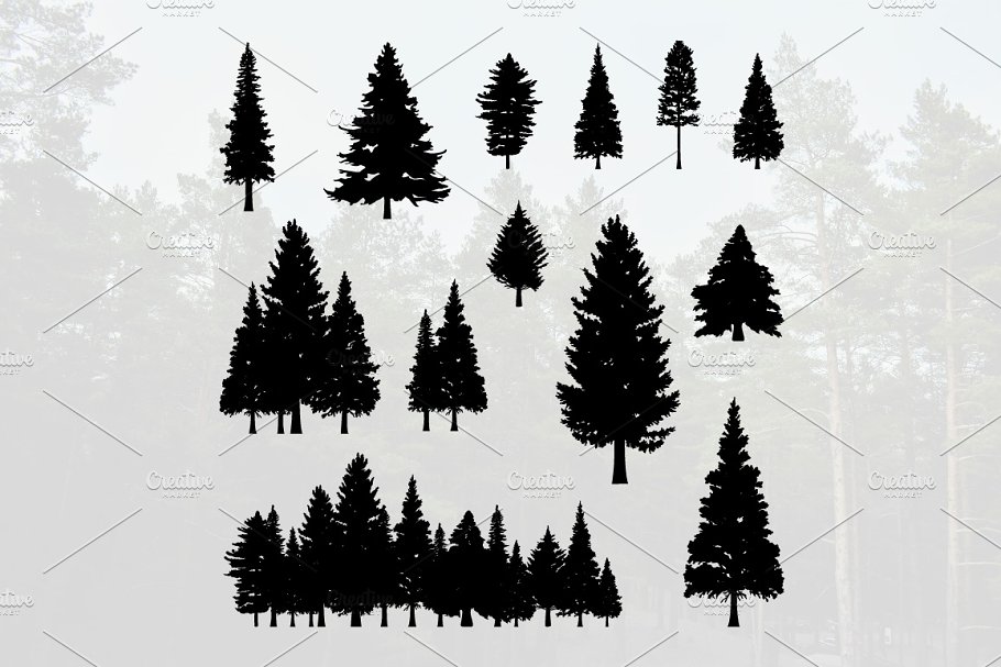 Download Coniferous Pine Fir Tree Silhouette