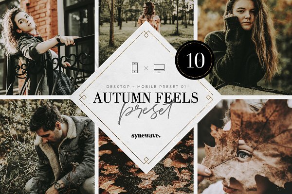 Download Autumn Feels Lightroom Presets