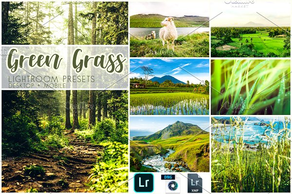 Download Lightroom Presets Green Grass