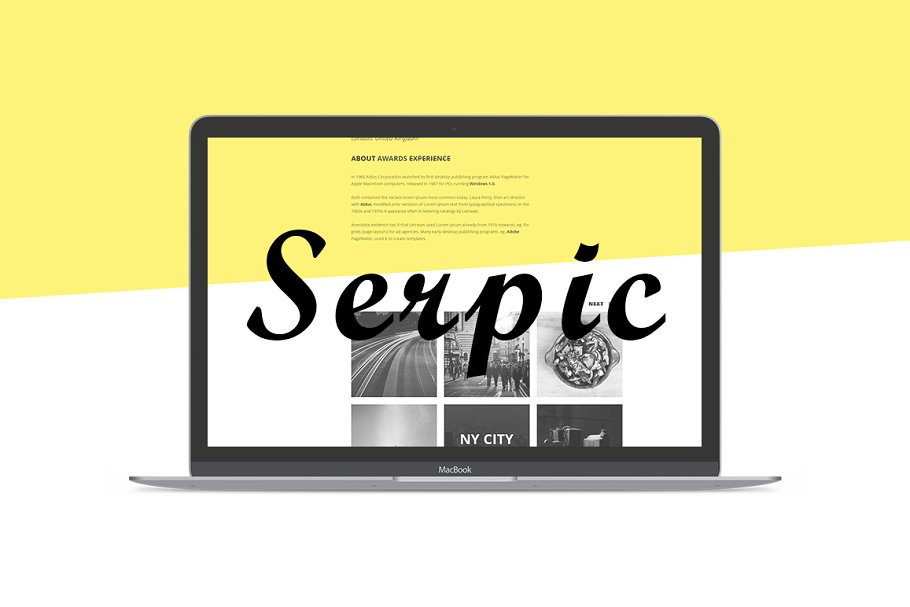 Download Serpic Responsive HTML Theme