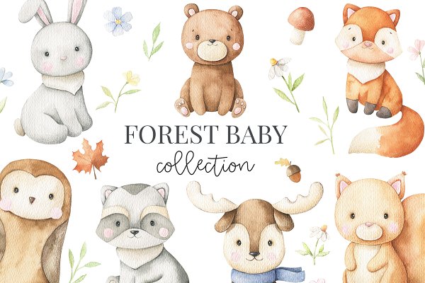 Download Forest Baby - Watercolor Set