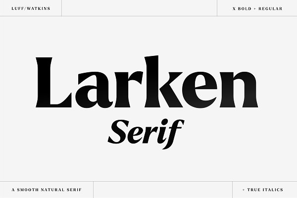 Download Larken - A Beautiful Serif
