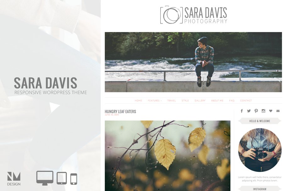 Download Sara Davis - Wordpress Theme
