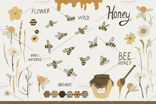 Download Bees and Honey