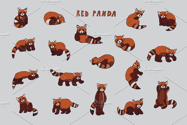 Download Red Panda