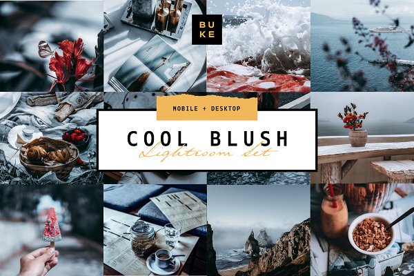 Download 5 Cool Blush Lightroom Presets Pack