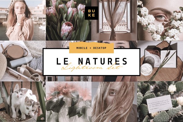 Download Le Natures Neutral Lightroom Presets