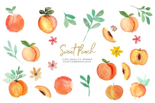Download Peach fruit clipart