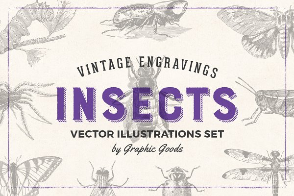 Download Insects - Vintage Illustrations