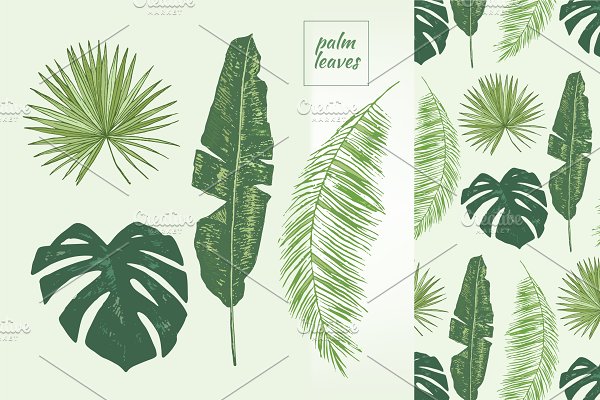 Download Palm leaves