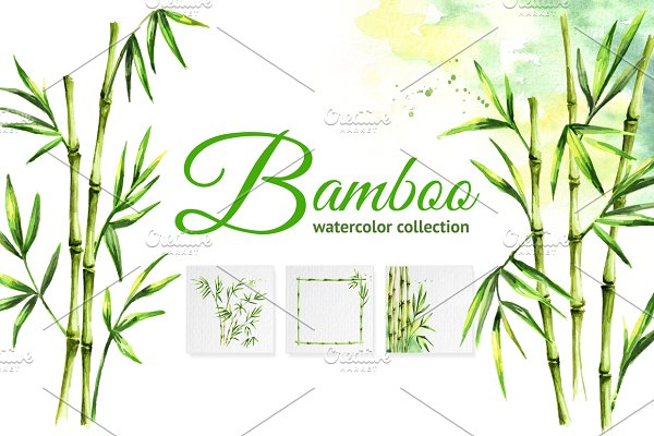 Download Bamboo. Watercolor collection