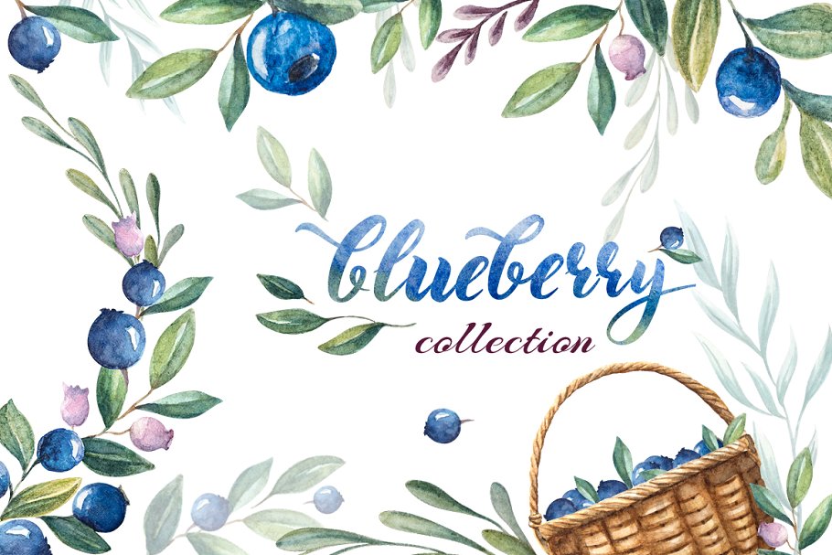 Download blueberry watercolor collection